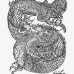 Dragons I & II by Filip Leu